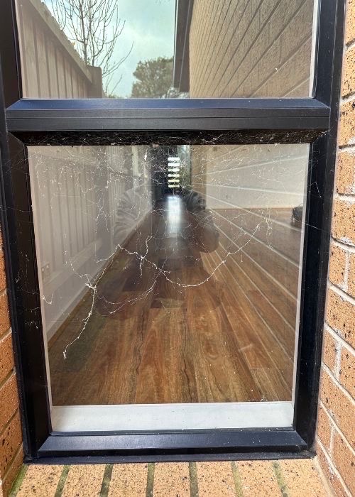 Remove spider webs from windows